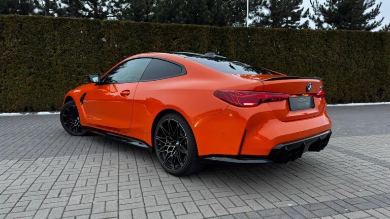 WhatsApp Image 2026-02-16 at 19.22