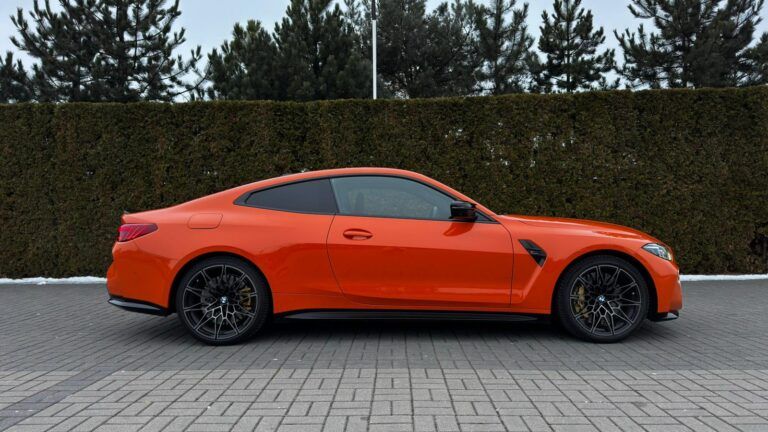 WhatsApp Image 2026-02-16 at 19.22