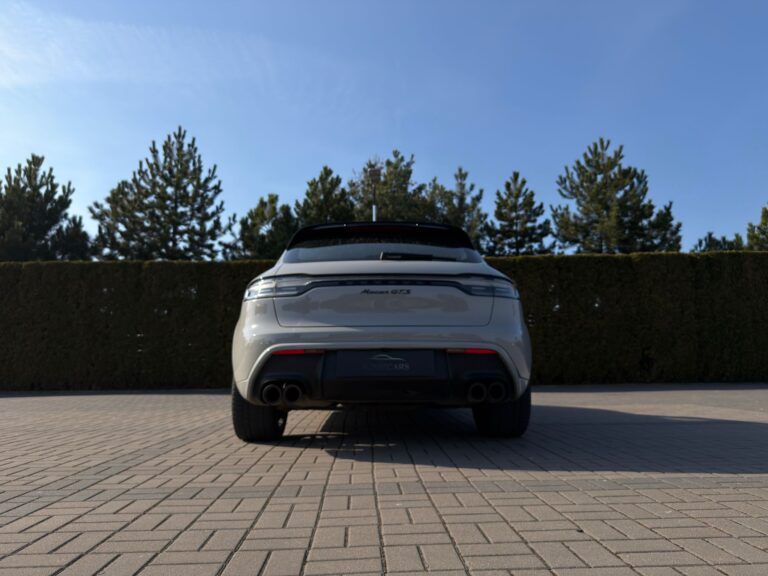 WhatsApp Image 2026-03-01 at 19.06